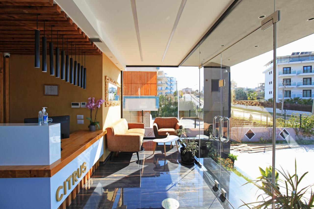 Hotel Citrus Ksamil Extérieur photo